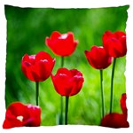 Red Tulip Flowers, Sunny Day Large Flano Cushion Case (Two Sides) Front