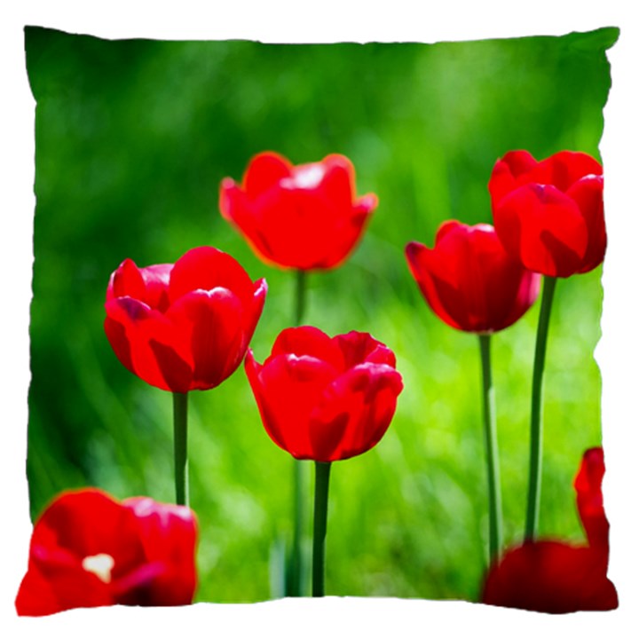 Red Tulip Flowers, Sunny Day Large Flano Cushion Case (Two Sides)