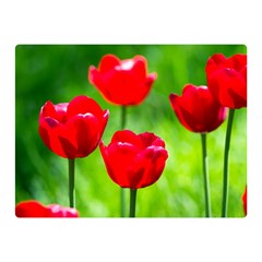 Red Tulip Flowers, Sunny Day Double Sided Flano Blanket (mini)  by FunnyCow