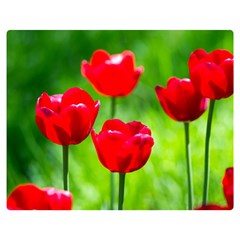 Red Tulip Flowers, Sunny Day Double Sided Flano Blanket (medium)  by FunnyCow