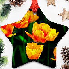 Yellow Orange Tulip Flowers Ornament (star) by FunnyCow