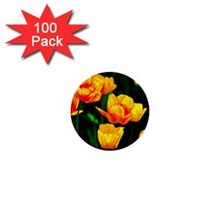 Yellow Orange Tulip Flowers 1  Mini Buttons (100 Pack)  by FunnyCow