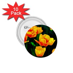 Yellow Orange Tulip Flowers 1 75  Buttons (10 Pack) by FunnyCow