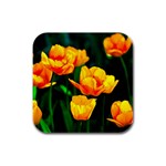 Yellow Orange Tulip Flowers Rubber Square Coaster (4 pack)  Front