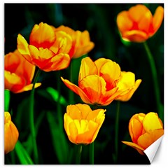 Yellow Orange Tulip Flowers Canvas 12  X 12  by FunnyCow