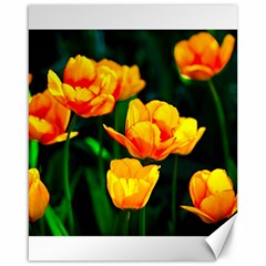 Yellow Orange Tulip Flowers Canvas 16  X 20  by FunnyCow