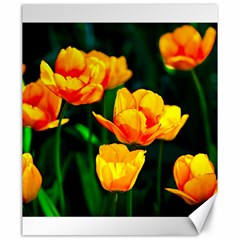 Yellow Orange Tulip Flowers Canvas 20  X 24  by FunnyCow