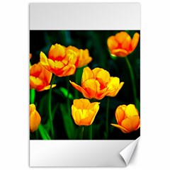 Yellow Orange Tulip Flowers Canvas 20  X 30  by FunnyCow