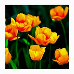 Yellow Orange Tulip Flowers Medium Glasses Cloth by FunnyCow