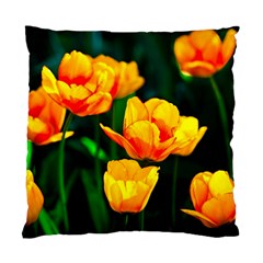 Yellow Orange Tulip Flowers Standard Cushion Case (one Side) by FunnyCow