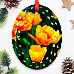 Yellow Orange Tulip Flowers Ornament (oval Filigree) by FunnyCow