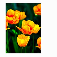 Yellow Orange Tulip Flowers Large Garden Flag (two Sides) by FunnyCow