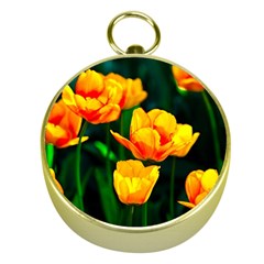 Yellow Orange Tulip Flowers Gold Compasses by FunnyCow