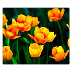 Yellow Orange Tulip Flowers Double Sided Flano Blanket (small)  by FunnyCow