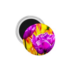 Violet Tulip Flowers 1 75  Magnets by FunnyCow