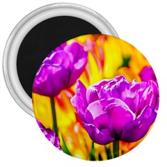 Violet Tulip Flowers 3  Magnets by FunnyCow