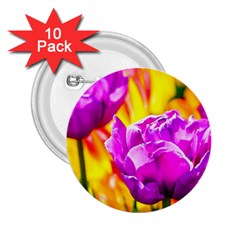 Violet Tulip Flowers 2 25  Buttons (10 Pack)  by FunnyCow