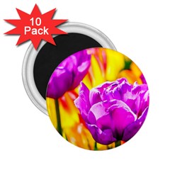 Violet Tulip Flowers 2 25  Magnets (10 Pack)  by FunnyCow