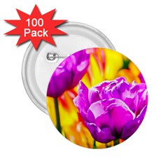 Violet Tulip Flowers 2 25  Buttons (100 Pack)  by FunnyCow