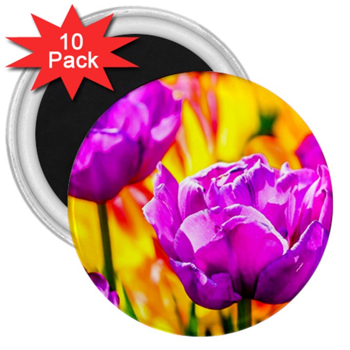 Violet Tulip Flowers 3  Magnets (10 pack) 