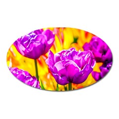 Violet Tulip Flowers Oval Magnet by FunnyCow