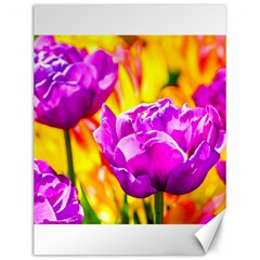 Violet Tulip Flowers Canvas 12  X 16  by FunnyCow