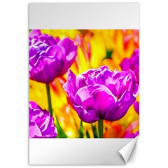 Violet Tulip Flowers Canvas 12  X 18  by FunnyCow