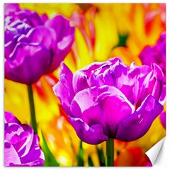 Violet Tulip Flowers Canvas 20  X 20  by FunnyCow