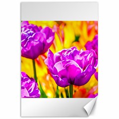 Violet Tulip Flowers Canvas 24  X 36  by FunnyCow