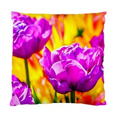 Violet Tulip Flowers Standard Cushion Case (one Side) by FunnyCow