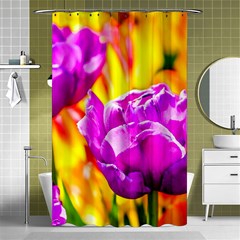 Violet Tulip Flowers Shower Curtain 48  X 72  (small)  by FunnyCow