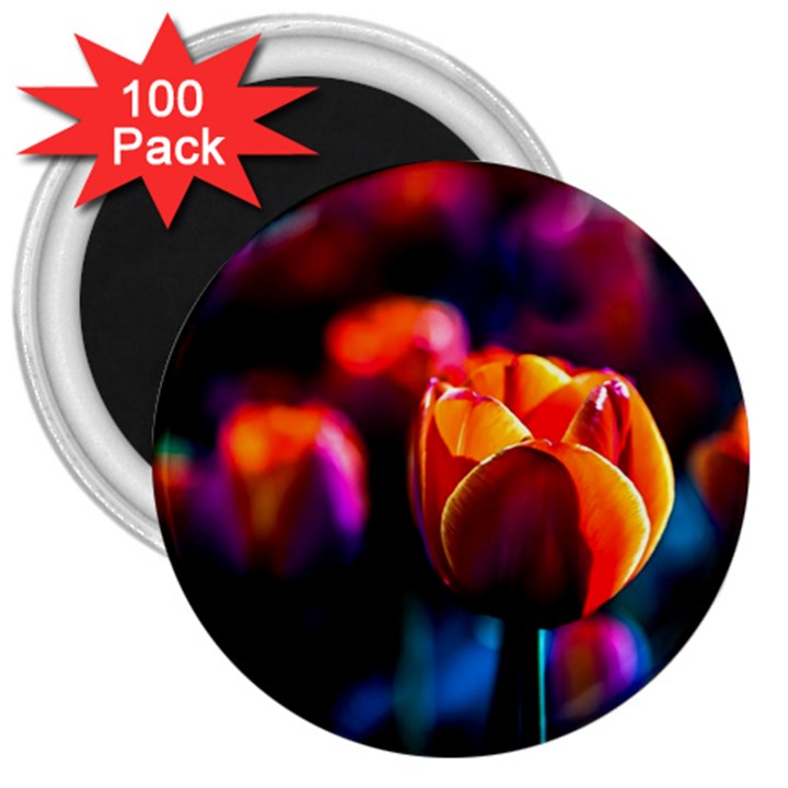 Red Tulips 3  Magnets (100 pack)