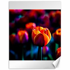 Red Tulips Canvas 12  X 16  by FunnyCow