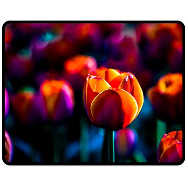 Red Tulips Fleece Blanket (Medium) 