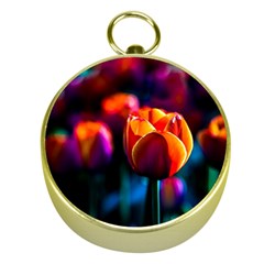 Red Tulips Gold Compasses by FunnyCow