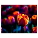 Red Tulips Double Sided Flano Blanket (Medium)  60 x50  Blanket Front