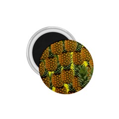 Tropical Pineapple 1.75  Magnets