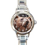 Bear Looking Round Italian Charm Watch Front