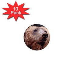 Bear Looking 1  Mini Magnet (10 Pack)  by snowwhitegirl