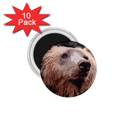 Bear Looking 1 75  Magnets (10 Pack)  by snowwhitegirl