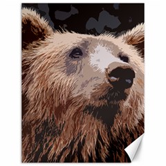 Bear Looking Canvas 12  X 16  by snowwhitegirl