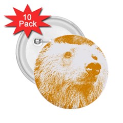 Bear 2 25  Buttons (10 Pack)  by snowwhitegirl