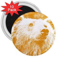 Bear 3  Magnets (10 Pack)  by snowwhitegirl