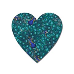 Peacocks Heart Magnet by snowwhitegirl