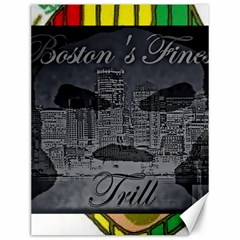 2451 Trill Cover Final Canvas 12  X 16  by RWTFSWIMWEAR