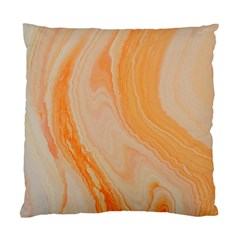 Orange Standard Cushion Case (one Side) by WILLBIRDWELL