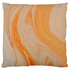 Orange Large Cushion Case (two Sides) by WILLBIRDWELL