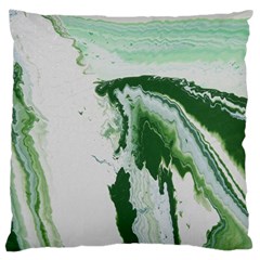 Envy Large Flano Cushion Case (two Sides) by WILLBIRDWELL