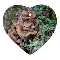 Abstract Of Mushroom Ornament (heart) by canvasngiftshop