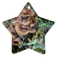 Abstract Of Mushroom Ornament (star) by canvasngiftshop